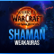 Shaman WeakAuras for World of Warcraft: The War Within